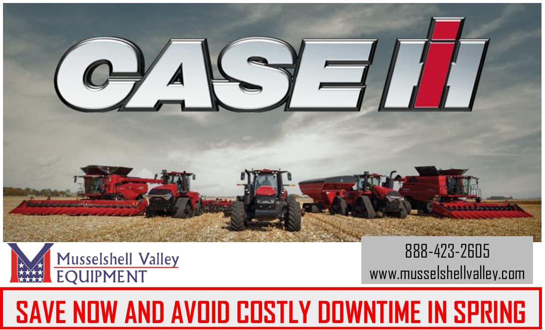 Fall Service Special